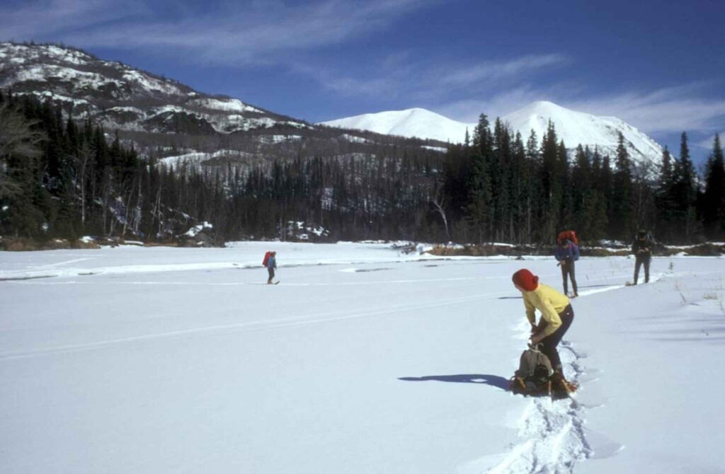People snowshoeing on a snowy valley floor beside pine forest